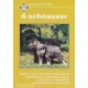 Szabadi Gusztav: A schnauzer Antikvar