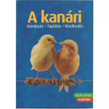 Markus Hubl: A ​kanari Antikvar