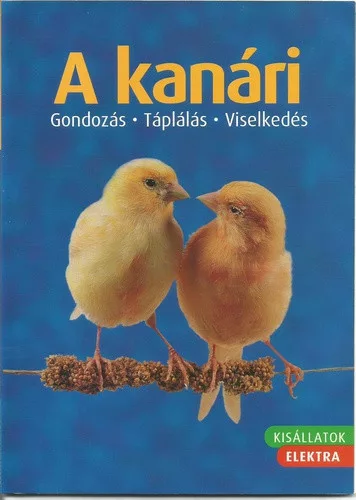 Markus Hubl: A ​kanari Antikvar