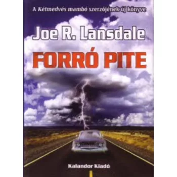 Joe R. Lansdale: Forro pite Antikvar