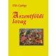 Illes Gyorgy: A szentfoldi lovag
