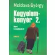 Moldova Gyorgy - Kegyelemkenyer ​2. - Riport a nyugdijasokrol Antikvar