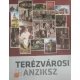 Terezvarosi anziksz