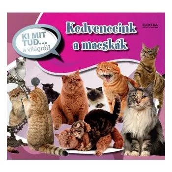 Kedvenceink a macskak - Ki mit tud... a vilagrol? Szepseghibas