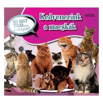 kedvenceink-a-macskak-ki-mit-tud-a-vilagrol