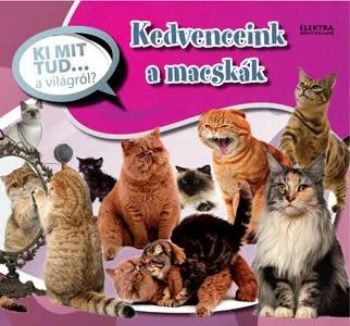 Kedvenceink a macskak - Ki mit tud... a vilagrol? Szepseghibas
