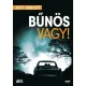 Jeff Abbott: Bunos vagy!