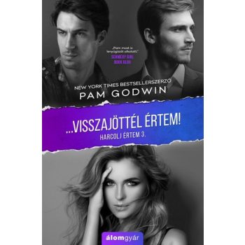 Pam Godwin: ...Visszajottel ertem! (Harcolj ertem 3.)