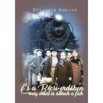 Elisabeth Asbrink: Es a Becsi-erdoben meg most is allnak a fak