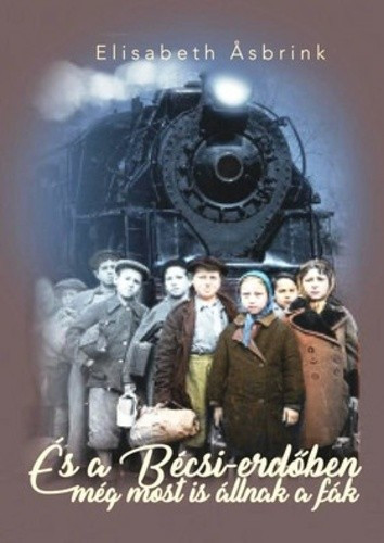 Elisabeth Asbrink: Es a Becsi-erdoben meg most is allnak a fak