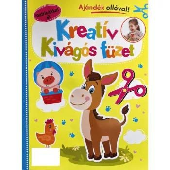 Kreativ kivagos fuzet csacsi