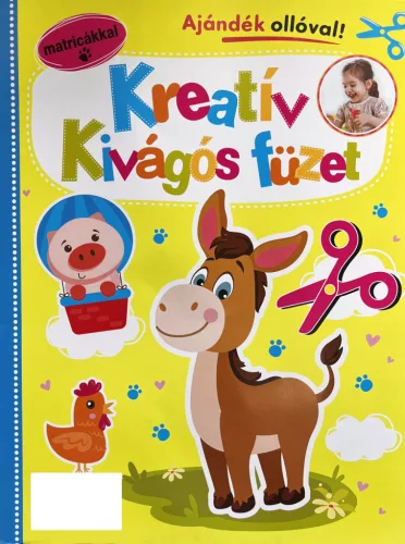 Kreativ kivagos fuzet csacsi