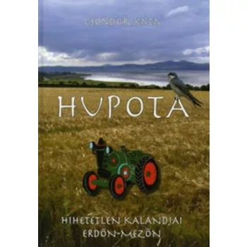 Csondor Kata: Hupota ​hihetetlen kalandjai erdon-mezon Antikvar