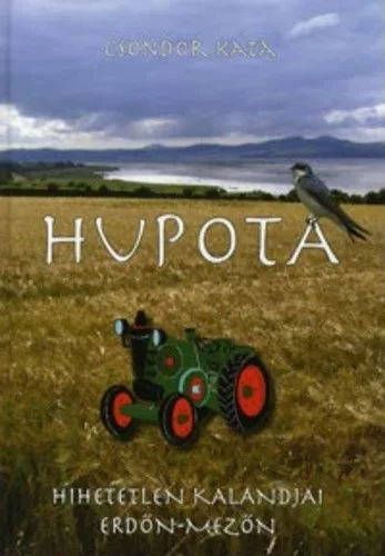Csondor Kata: Hupota ​hihetetlen kalandjai erdon-mezon Antikvar