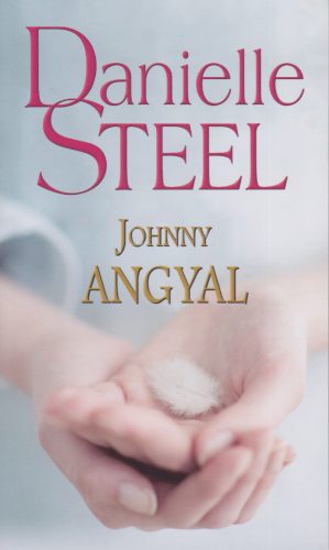 Danielle Steel - Johnny Angyal