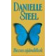 Danielle Steel - Becses ajándékok
