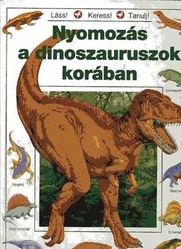 Rosie Heywood: Nyomozas a dinoszauruszok koraban- Antikvar
