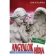 Horvath Andrea - Angyalok hidja - Masodik, bovitett kiadas! Antikvar