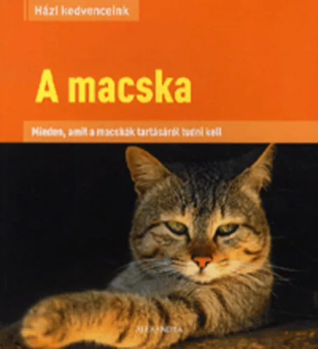 Beate Ralston A macska Jo allapotu antikvar