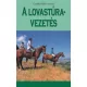 Gyorffy-Villam Andras A lovastura vezetes Antikvar