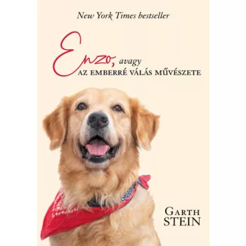 Garth Stein: Enzo