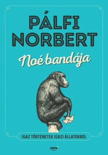 Palfi Norbert Noe bandaja