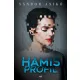 Sandor Aniko: Hamis profil