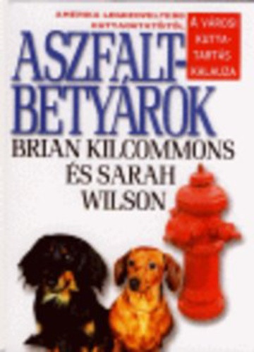 brian-kilcommons-sarah-wilson-aszfaltbetyarok-antikvar