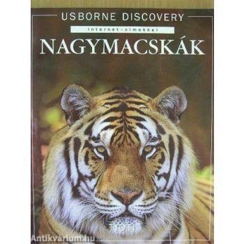 jonathan-sheikh-miller-nagymacskak