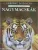 Jonathan Sheikh-Miller: Nagymacskak