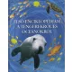Ben Denne: Elso ​enciklopediam a tengerekrol es oceanokrol Tarolasserult serult sarok