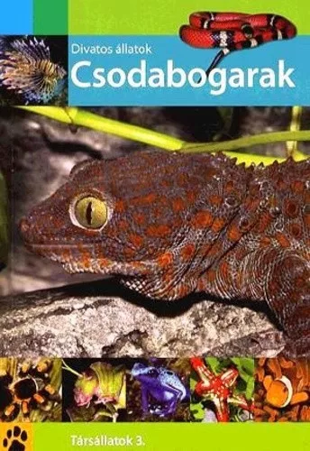 Balint Katalin (szerk.): Csodabogarak Jo allapotu szepseghibas