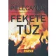 George P. Pelecanos: Fekete ​tuz Jo allapotu szepseghibas