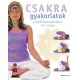 Mary Horsley: Csakra gyakorlatok Antikvar