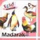 Elso szavaim – Madarak Jo allapotu Tarolas serult
