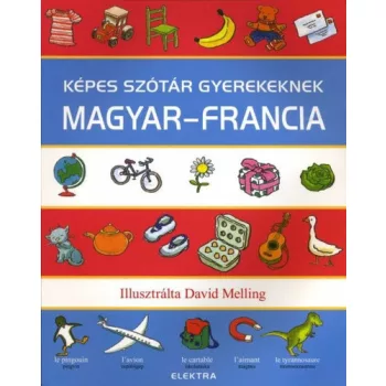 Neil Morris (szerk.): Kepes szotar gyerekeknek – magyar-francia Szepseghibas feluleten es sarkain tarolasi kopas