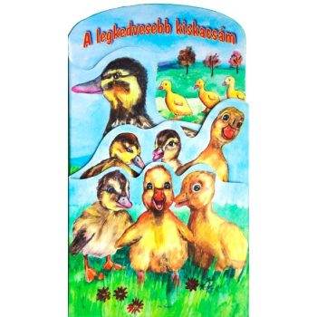 a-legkedvesebb-kiskacsam