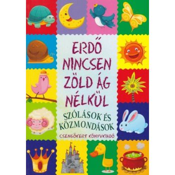 imre-zsuzsanna-peter-kinga-erdo-nincsen-zold-ag-nelkul-szolasok-es-kozmondasok